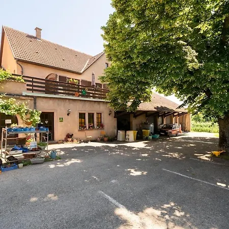 Riesling, Parking Gratuit Et Prive Apartment *