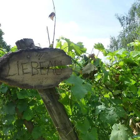 Riesling, Parking Gratuit Et Prive Apartment *