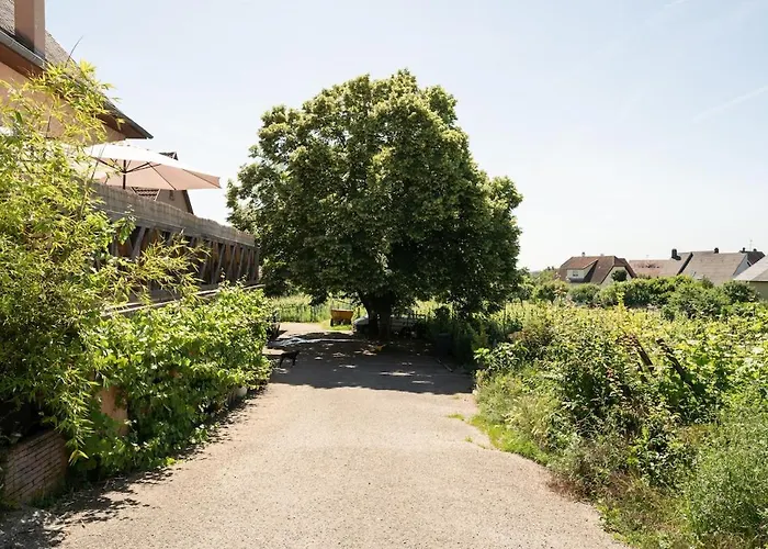 Appartement Riesling, Parking Gratuit Et Privé *